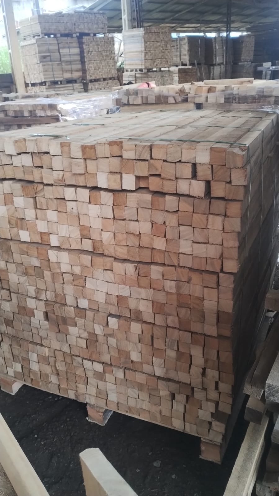 Madeira de eucalipto 45x45x3000mmm